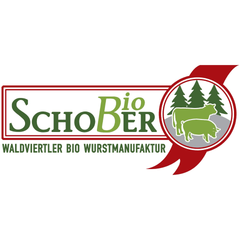 Schober GmbH  3571
